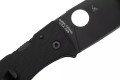 Spyderco Bodacious BB