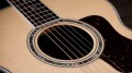 Taylor Legacy 815e