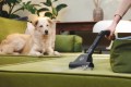 Hoover TXL 80 PET 011