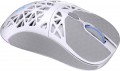 Endorfy LIV Wireless