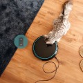 Cecotec Pumba 1600 Purrfect Meal