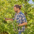 GARDENA PremiumCut 12252-20
