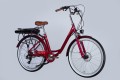 Dorozhnik eRUBY DD FR 500W 2025