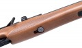 Diana Outlaw Gen 2 4.5