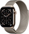 Apple Watch 11 Titanium