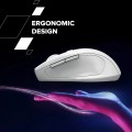 Canyon OnClick 20