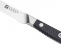 Zwilling Spectrum 1033079