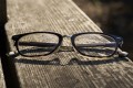 Sony 100mm f/2.8 GM FE Macro