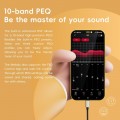 FiiO Snowsky Melody