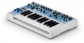 Novation Bass Station II Swifty Edition