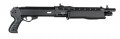 ASG Franchi SPAS 12