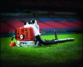 STIHL BR 420