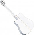 Tanglewood TW5