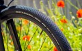 Schwalbe G-One Allround Performance Folding