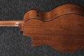 Ibanez AE2912