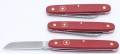 Victorinox Ecoline Floral 3.9051