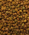 Versele-Laga Classic Variety 10 kg