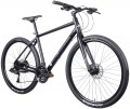 MBM Maxilux 29 2022