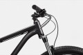 Cannondale Trail 6 29 2023