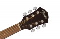 Fender Limited Edition FA-230E