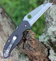 Spyderco Canis C248CFP