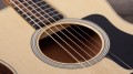 Taylor GS Mini-e Rosewood Plus