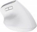 Trust Bayo+ Multidevice Ergonomic Wireless Mouse