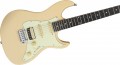 Sire Larry Carlton S3