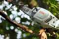 STIHL HTA 86