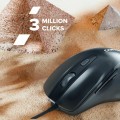 Canyon CNE-CMS6
