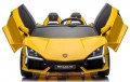 Ramiz Lamborghini Revuelto XL