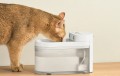 Catlink Pure 3