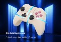 GuliKit KK3 Pro Controller