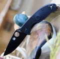 Spyderco Tenacious FRN BB