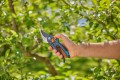 GARDENA PremiumCut 12252-20