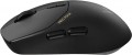 Rapoo VT1PRO MAX