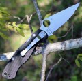 Spyderco Para-Military 2 SpyderEdge