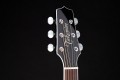 Takamine EF341DX