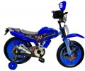 X-Treme Rider 16