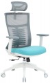 OfficePro Balance OC550