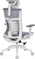 OfficePro Balance OC620