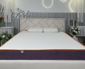Family Sleep Lilas