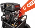 Cedrus RB01C