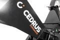 Cedrus RBR13