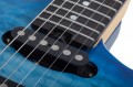 Schecter California Classic
