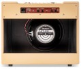 Blackstar DEBUT 100R 112