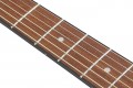 Ibanez V30NJP