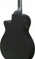 Ibanez AEG1221