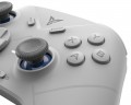 Flydigi Direwolf 3