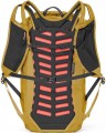 Salewa Pedroc Core 22L